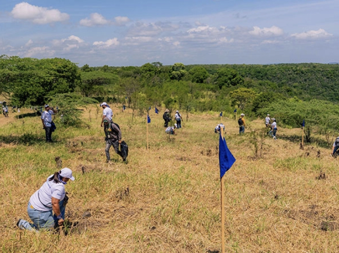 Aproximadamente, 150 voluntarios participaron en la reforestación junto a Plan Sierra